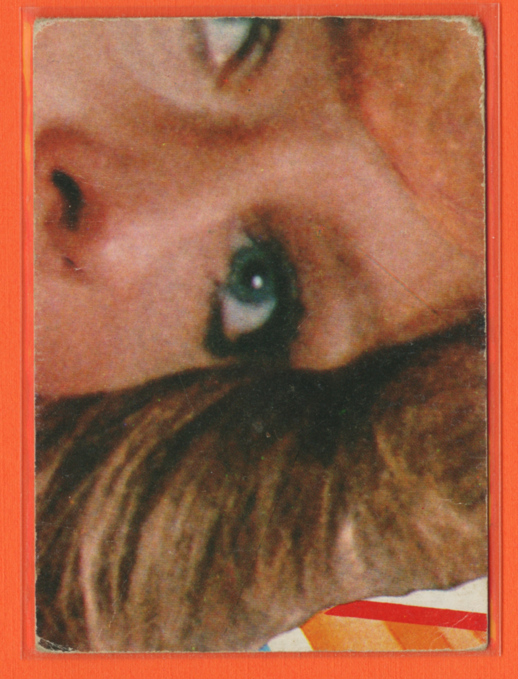 1977 Topps "Charlie's Angels" the Television Series Trading Cards